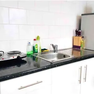 Comfortable Flat In Central London